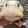 enteichbin