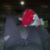 sels.9