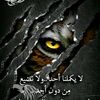 nader.atat