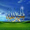 user40627783002630
