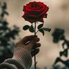 ahmed.alshuaibi00