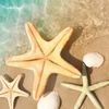 essencemiles06