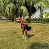 g.chi.hi.phng0