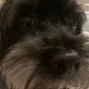 eliza_may6