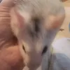 fuckoff.._0