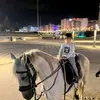 imad.9245