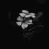 bayan_893