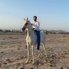 alih_1991