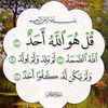 achref.achref4535