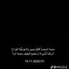 manyy.elfarsee