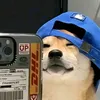 _rafaelzn_
