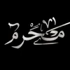 a_aljx313