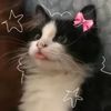 kiko_urfavorite