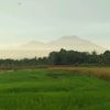 putra.anakbengkong