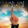 user31810931942666