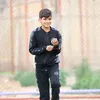 alamir2013