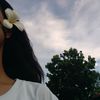eeloraaa