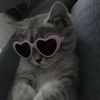 iloveyou_333.3