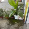 quang.le133