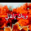 user1106952316849