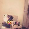 justraaa51