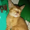 naggitsss