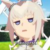 pokooprst_