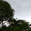 rafaeldguez1