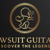 Lawsuit Guitars