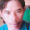 waldp_ap1p234