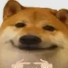 p_htpv98