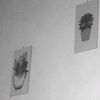 betwens_