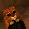 ibrahim_cashback