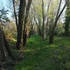 aliazizi647