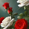 reginebellet