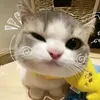 catlovwr8