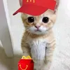 hi_hdhdhdhhd