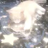 _pkdthws1tg