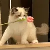 ninhhaphuongthao_211