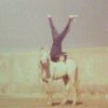 adel.alkaga