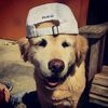 losky810