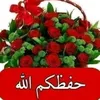 omomohamed73