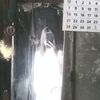 xyrill38lll