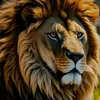 خير إن شاء الله
