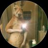alex.choque96