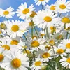 wonderfullphotos.uk