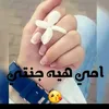 noorl495