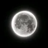 _ren1xxx_