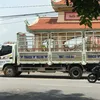 nguyn.linh6635