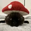 fegwi3